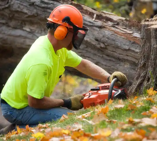 tree services Chardon